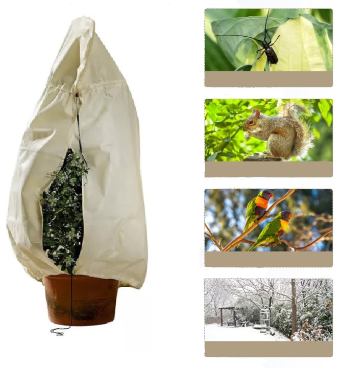 ochrana rastlín využitie